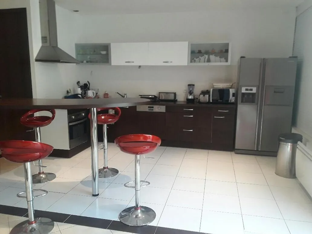 Loft Brest Avec Spa Et Billard France
