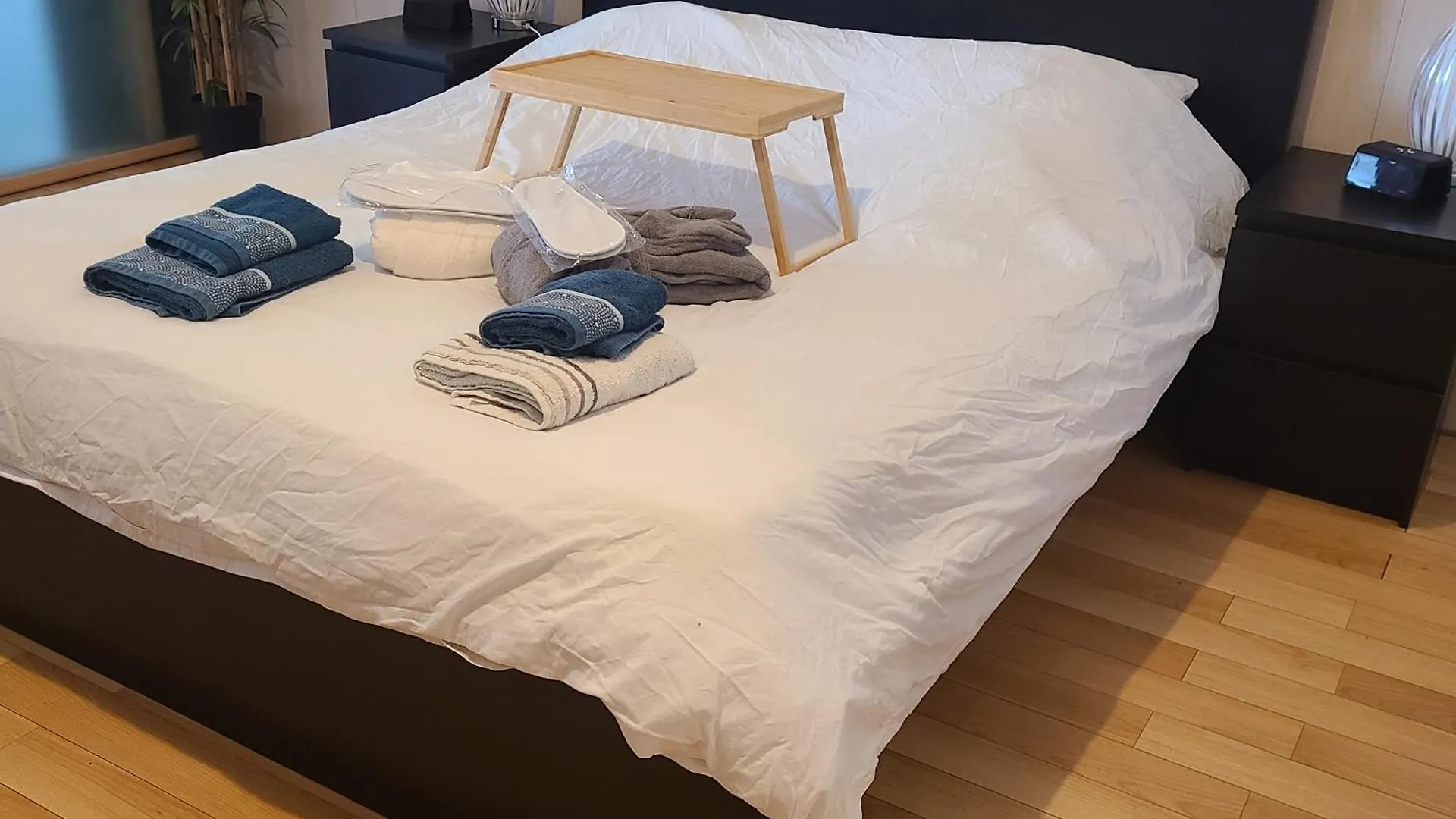 Apartment Loft Brest Avec Spa Et Billard France
