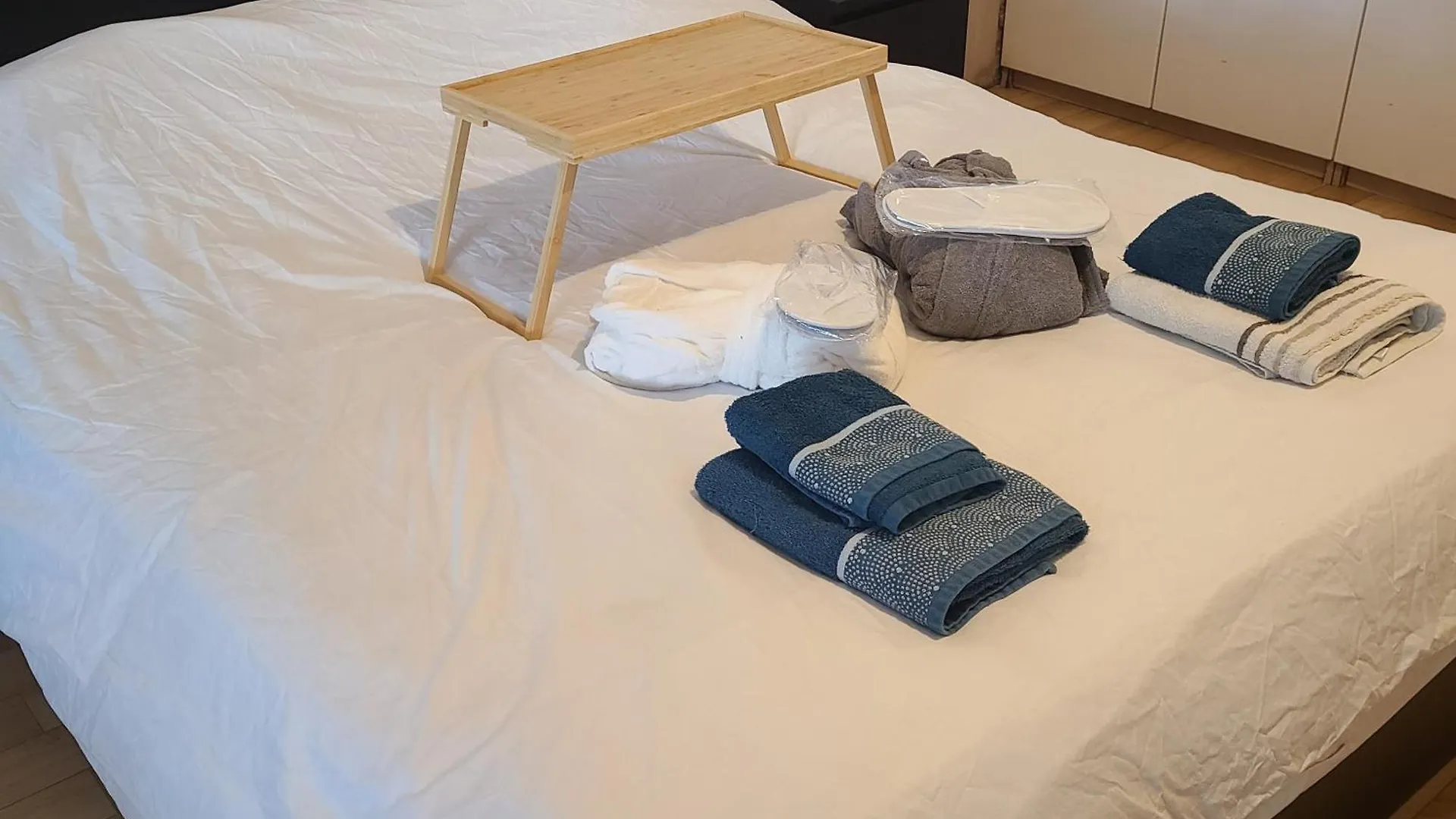 Loft Brest Avec Spa Et Billard France